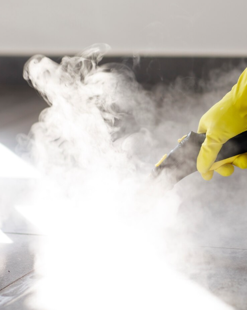 article nettoyage à la vapeur